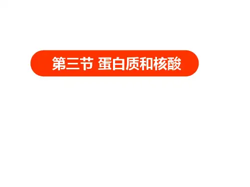 人教版化学选修5课件：4-3-3《蛋白质和核酸》(32张ppt) 