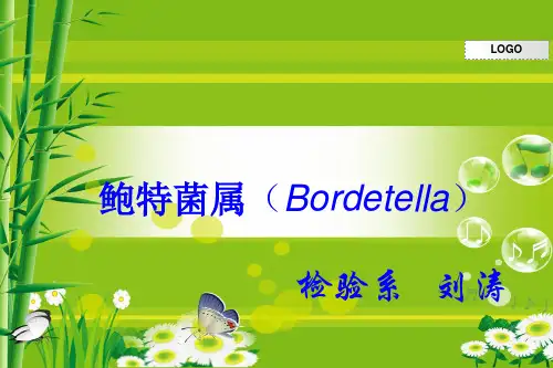 鲍特菌属