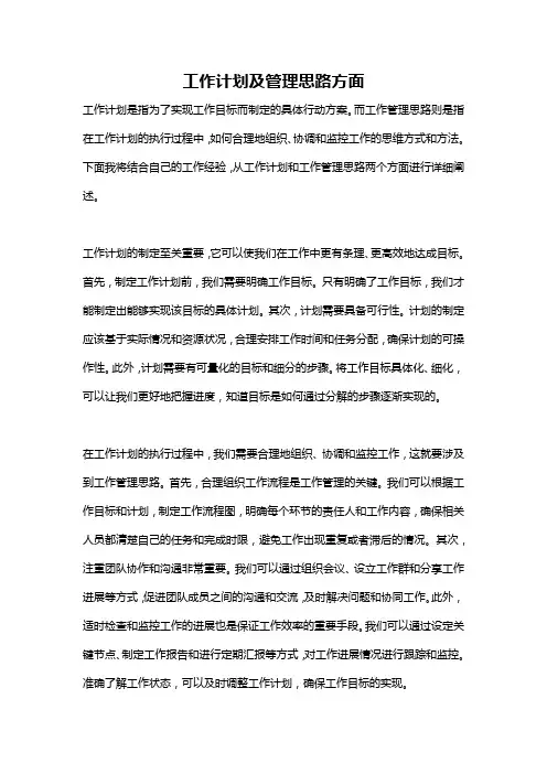 工作计划及管理思路方面