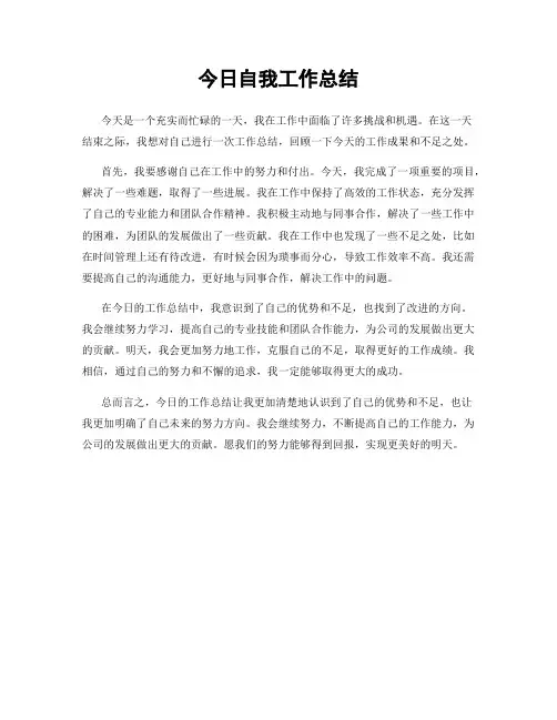 今日自我工作总结