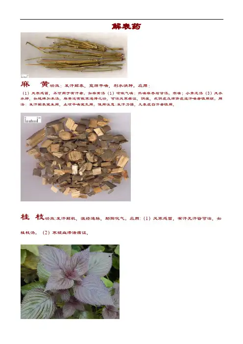 常用中药饮片彩色图谱