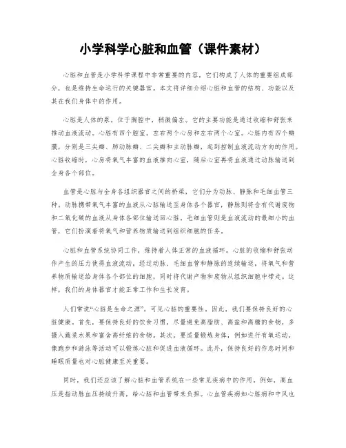 小学科学心脏和血管(课件素材)