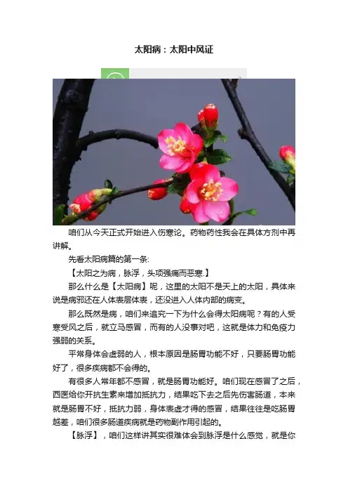 太阳病：太阳中风证