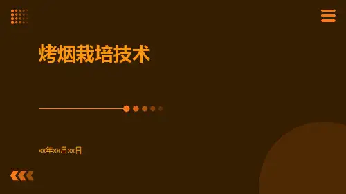 烤烟栽培技术