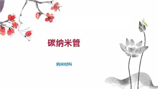 碳纳米管    