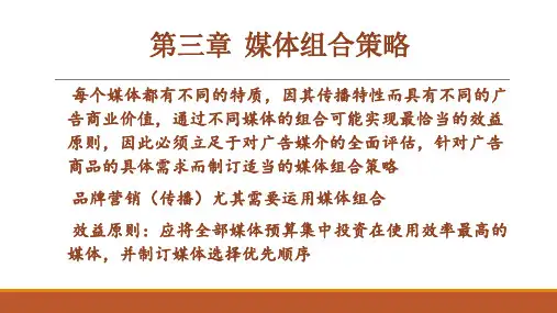 第三章  广告媒体组合策略