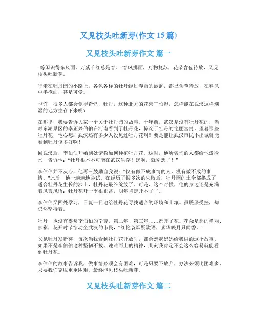 又见枝头吐新芽(作文15篇)