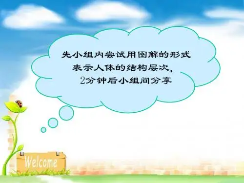 人教版初中七年级上册生物：植物体的结构层次(1)