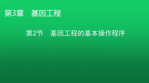 人教版高中生物选择性必修3第3章第2节课件