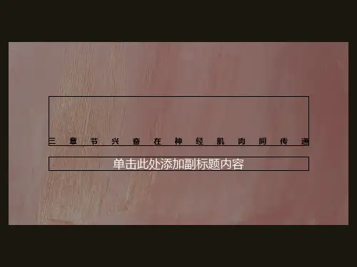 三章节兴奋在神经肌肉间传递