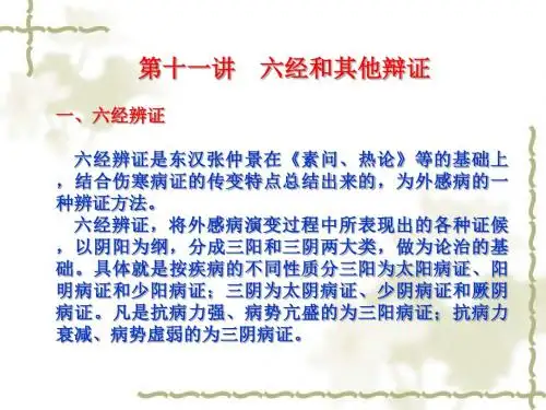 12 六经及其他辨证