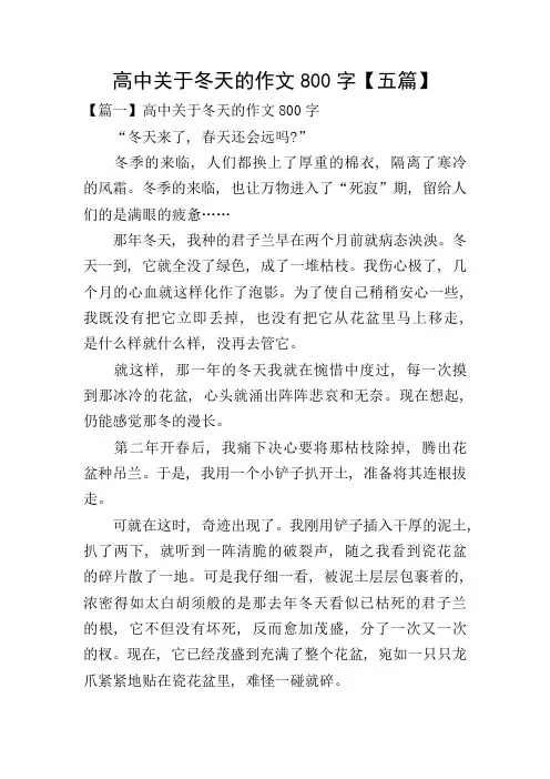 高中关于冬天的作文800字【五篇】