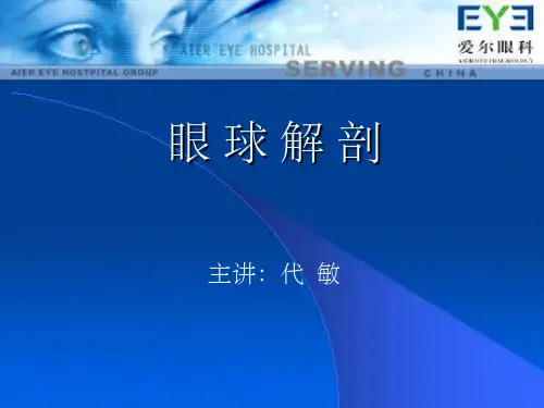 眼球解剖ppt