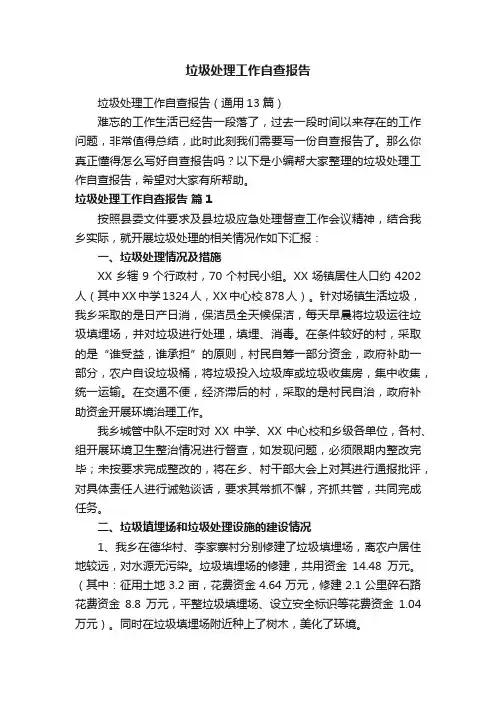 垃圾处理工作自查报告（通用13篇）