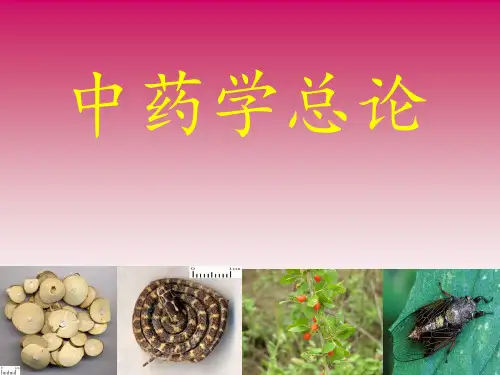 中药的起源和发展史PPT课件