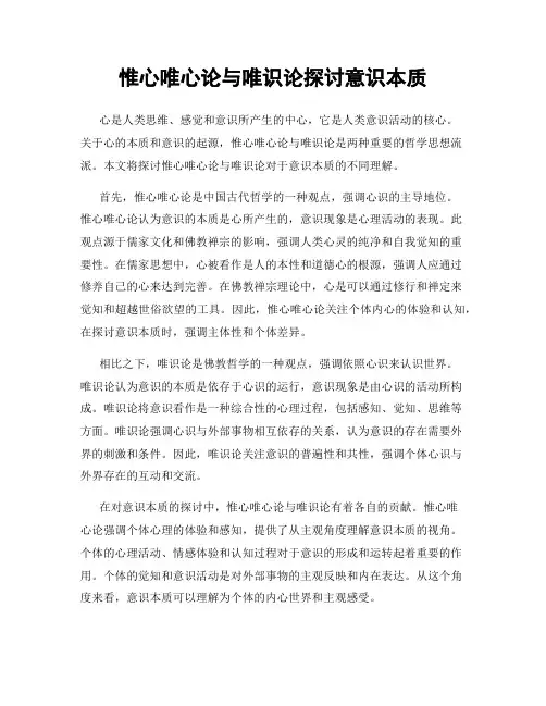 惟心唯心论与唯识论探讨意识本质