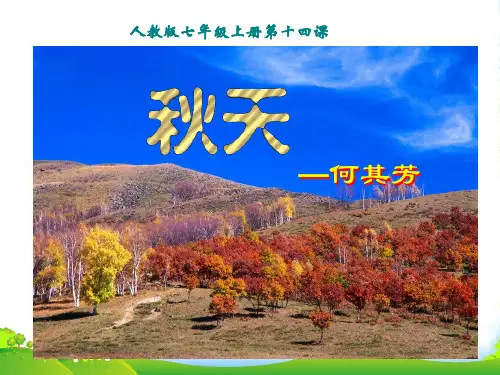 新人教版七年级上册语文14.《秋天》课件(共21张PPT)
