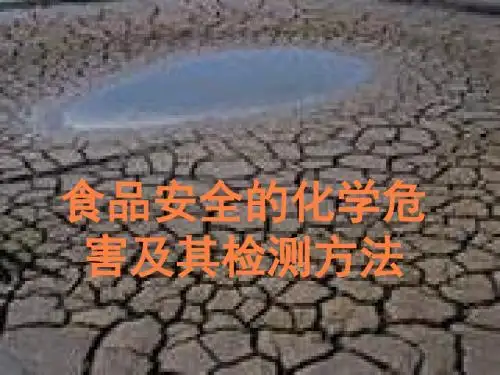 农药残留分析PPT课件