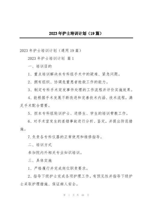 2023年护士培训计划(19篇)