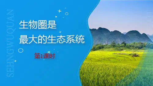 《生物圈是最大的生态系统》PPT课件