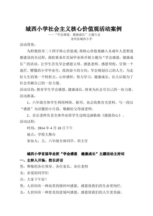 城西小学社会主核心价值观活动案例