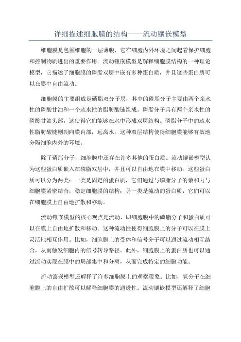 详细描述细胞膜的结构——流动镶嵌模型