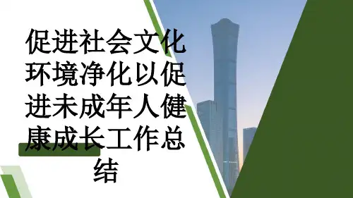 促进社会文化环境净化以促进未成年人健康成长工作总结