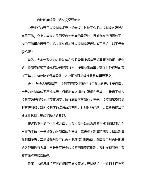 内控制度领导小组会议纪要范文