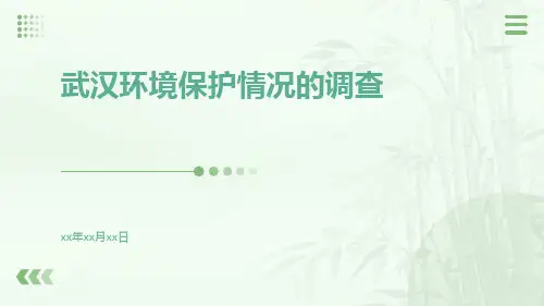 武汉环境保护情况的调查