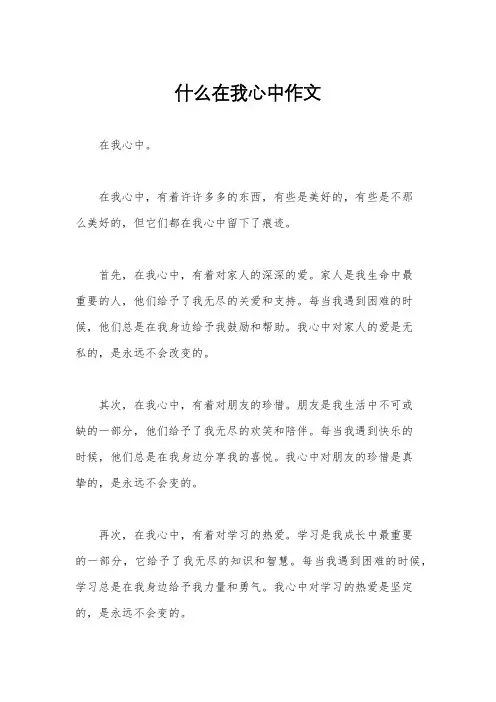 什么在我心中作文