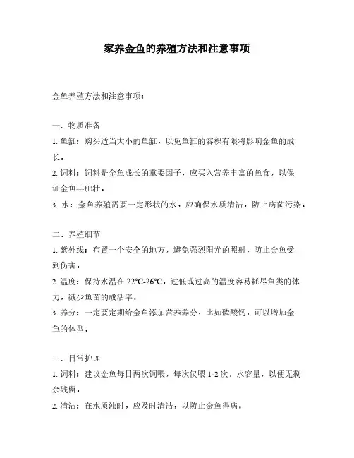 家养金鱼的养殖方法和注意事项