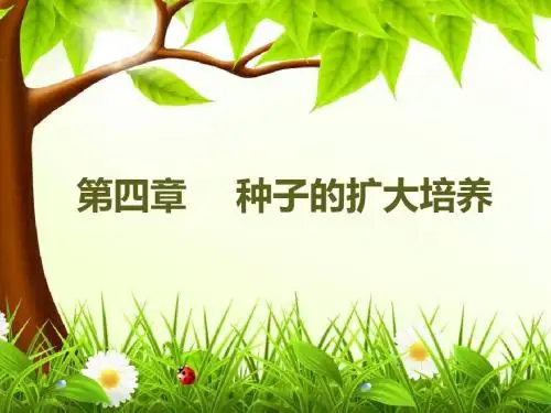 第四章  种子的扩大培养