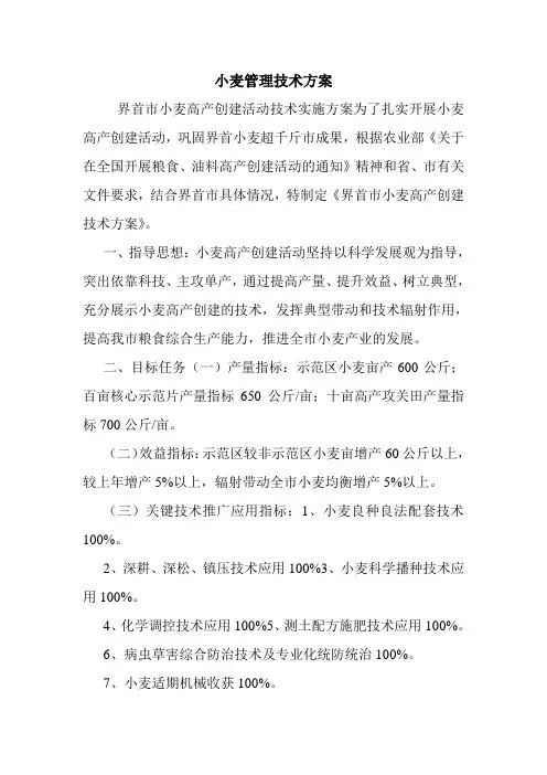 小麦管理技术方案.doc