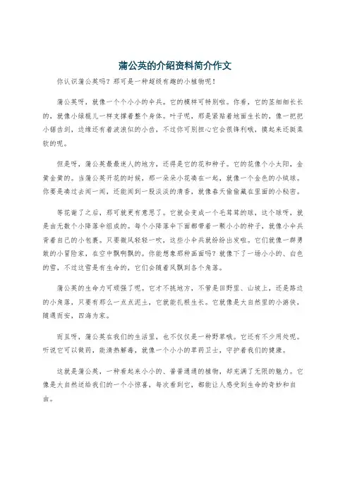 蒲公英的介绍资料简介作文