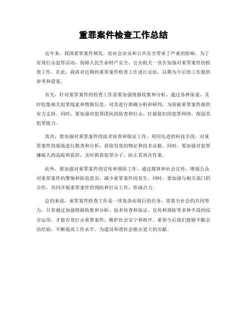 重罪案件检查工作总结