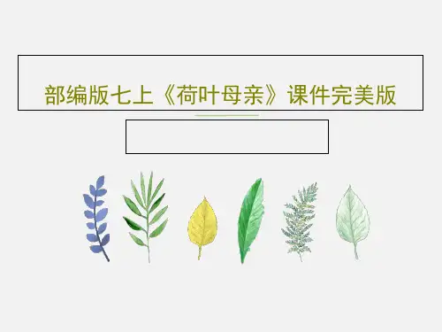 部编版七上《荷叶母亲》课件完美版共33页