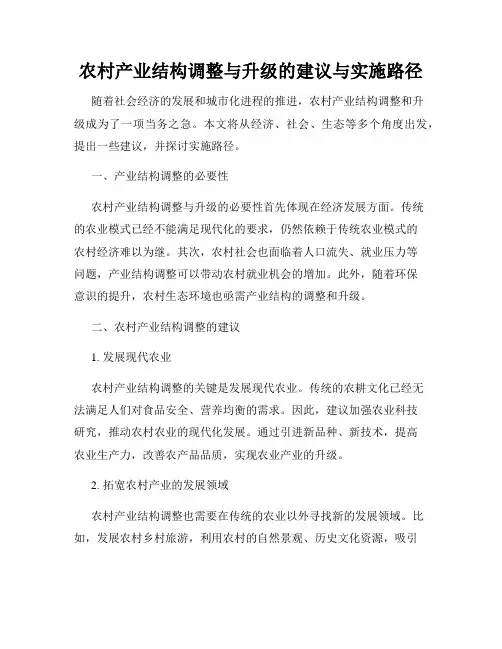农村产业结构调整与升级的建议与实施路径