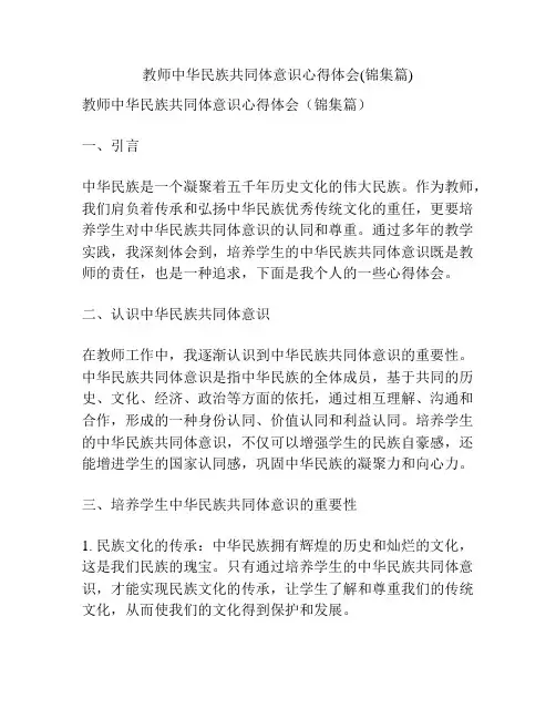 教师中华民族共同体意识心得体会(锦集篇)