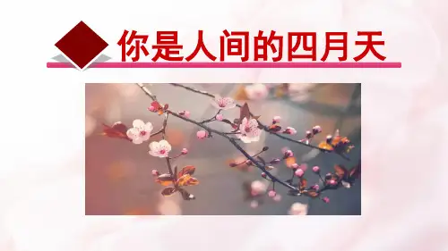 人教部编版九年级语文上册《你是人间的四月天》参考课件(共43张PPT)