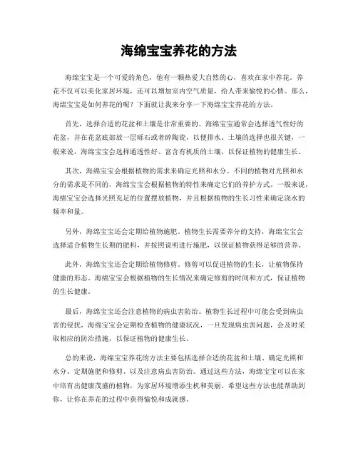 海绵宝宝养花的方法