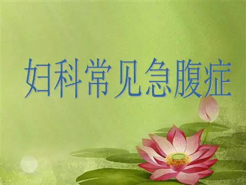 妇科常见急腹症.ppt