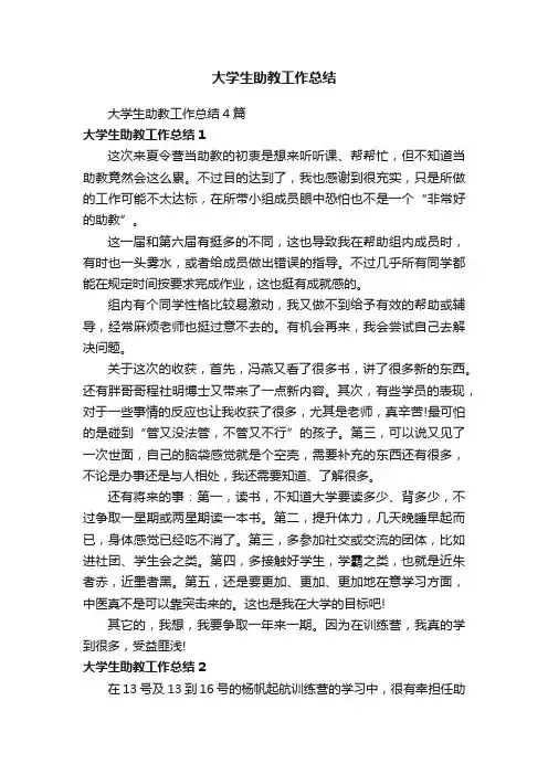 大学生助教工作总结4篇