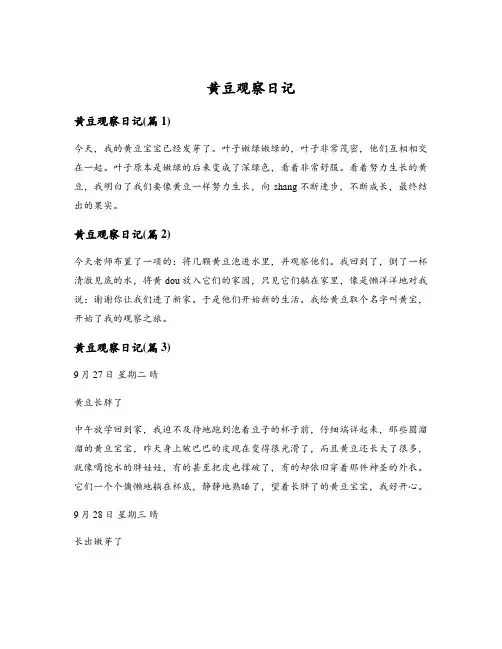 黄豆观察日记