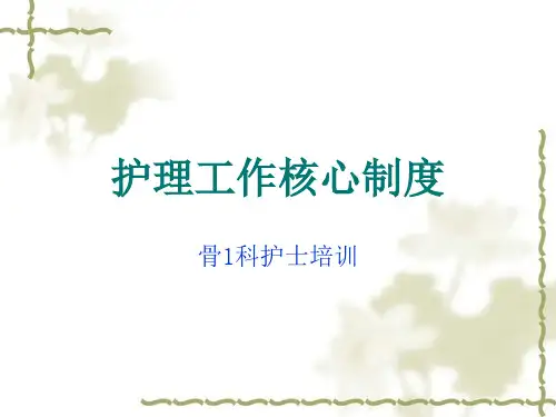 护理工作核心制度ppt课件