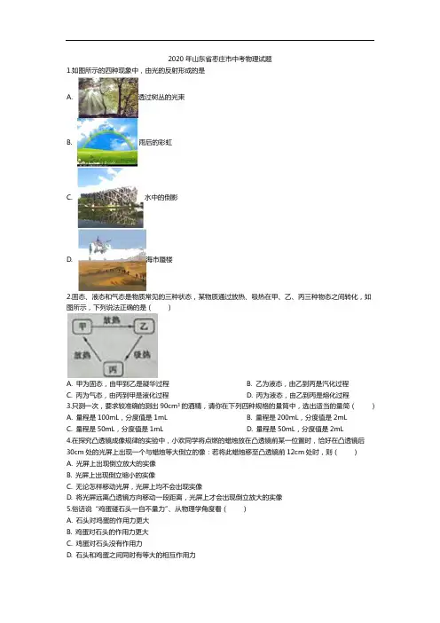 2020年山东省枣庄市中考物理试题(解析版)