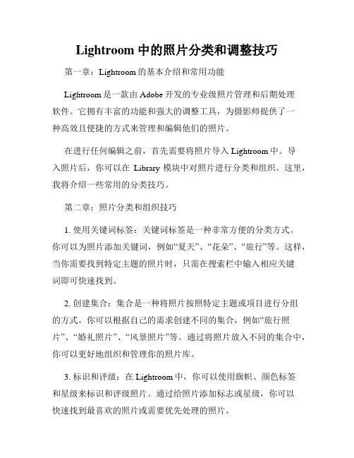 Lightroom中的照片分类和调整技巧