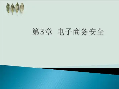 电子商务安全需求与应对措施PPT课件(84页)