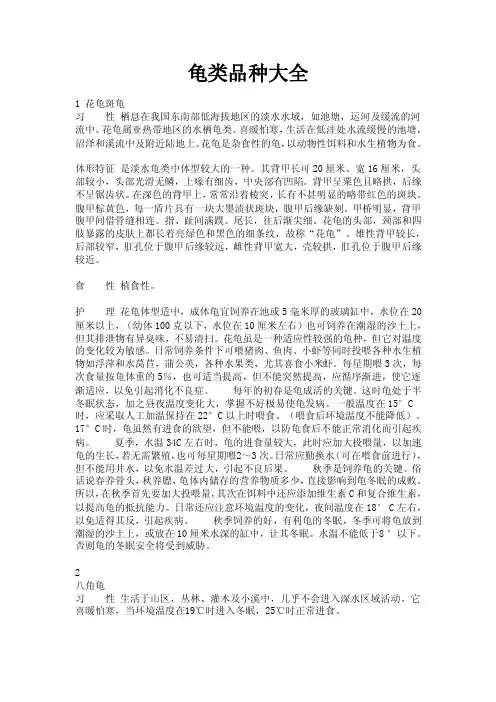 龟类品种大全（298种--附图及说明）