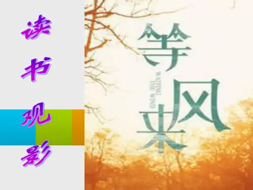 《等风来》电影介绍