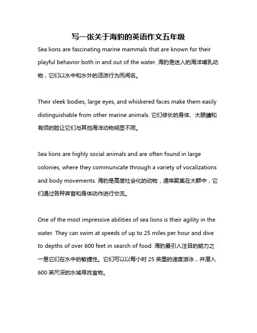 写一张关于海豹的英语作文五年级